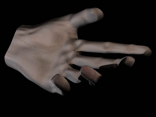 Palm