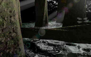 Rainforest Shot