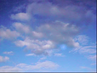 Frame 1