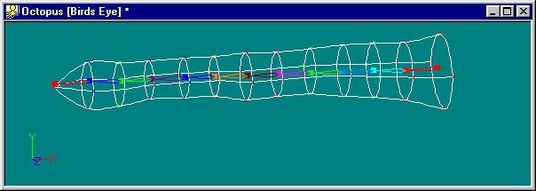 Mesh And Bone Assignment